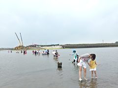 -日照海滨国家森林公园