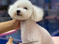 -FAELING PETS美天灵宠物(富力广场店)