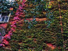 -斯多格书乡(北京大学畅春园店)