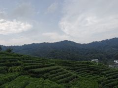 -十里琅珰