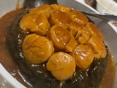 -海王老记