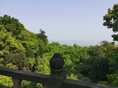 -南山植物园