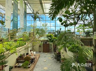 济南新开的！4000平！森林咖啡馆