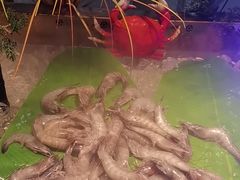 -冠菌火锅自助(东莞樟木头店)