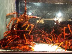 -金唐海鲜酒家