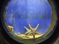 -合肥海洋世界