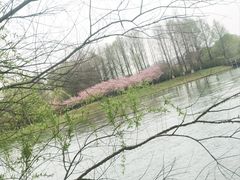 -苏州太湖国家湿地公园