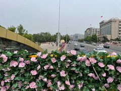 -北陵公园