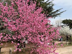 -国家植物园南园