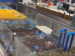 -半岛听涛蒸汽海鲜自助(K11店)
