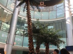 -小海豚国际游泳培训中心(浦东塘桥店)