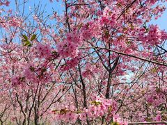 -福建鲤鱼洲酒店