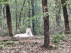 -乐和乐都主题乐园