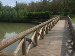 -同里国家湿地公园