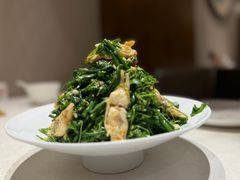 丝瓜苗-和和小厨