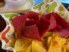 -Famous肥猫墨西哥音乐餐吧(五棵松华熙LIVE店)