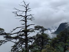 -瓦屋山景区