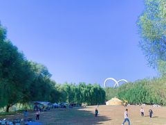 -长白岛森林公园