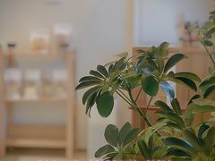 -慢熟面包店bud bread(孩儿巷店)