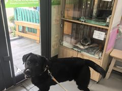 -爱侣宠医·鹦鹉专科·小型哺乳类·异宠专科(灵石路店)