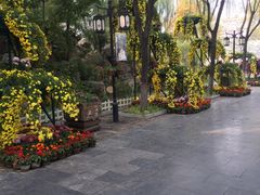 -文瀛公园