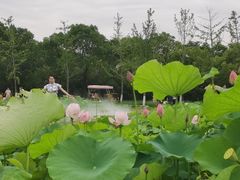 -嘉北郊野公园