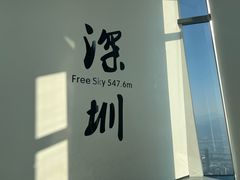 -平安金融中心云际观光层
