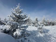 -密苑云顶乐园(云顶滑雪场)