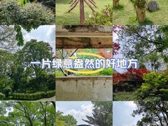 -南山植物园