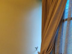 -鼎族怡华·指压·经络·疗愈SPA(紫荆店)