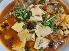 -煲来饱去冷水鱼