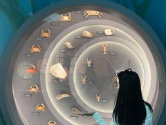 -中国湿地博物馆