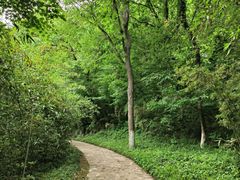 -南山风景名胜区
