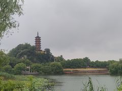 -镇南锅盖面馆(解放路店)