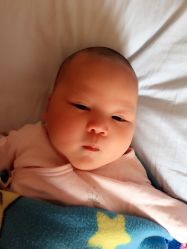 -龙文宝贝上门婴儿理发满月剃胎毛(总店)
