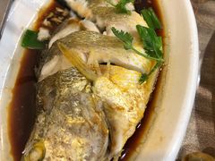 红烧大黄鱼-大丰收海鲜酒楼·专业餐饮30年(连云港老字号店)