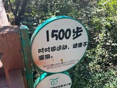 -大岭沟猕猴桃谷风景区