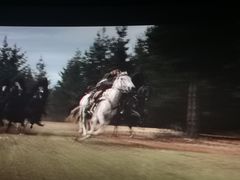 -百丽宫影城(嘉里汇店)