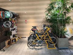 -大视光学•LINDBERG林德伯格•全球手工眼镜集合店(王府井店)