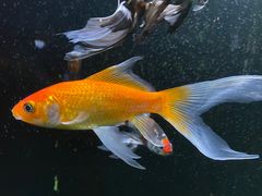 -欢乐海岸海洋奇梦馆