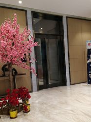 -龙文宝贝上门婴儿理发满月剃胎毛(浦东店)