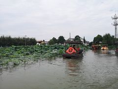 -老杨砂锅鱼庄