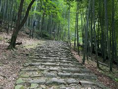 -仙霞关景区