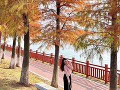-鹤之洲湿地公园