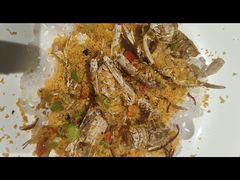 -北塘海鲜·天津菜·鲅鱼水饺是一绝(大光明桥旗舰店)