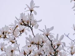 -人民广场