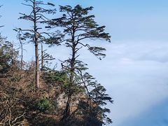 -峨眉山风景名胜区