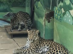 -昆明动物园