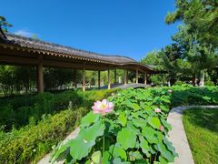 -福如东海文化园