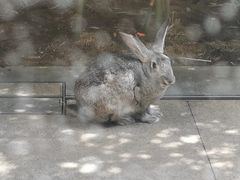 -春记潮汕牛肉火锅